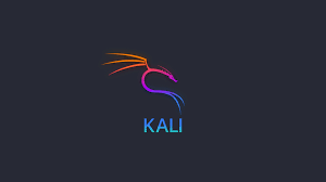 ابزارهای محبوب تست نفوذ؛ از Kali Linux تا Metasploit